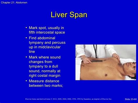 scratch test liver size|liver palpable below costal margin.